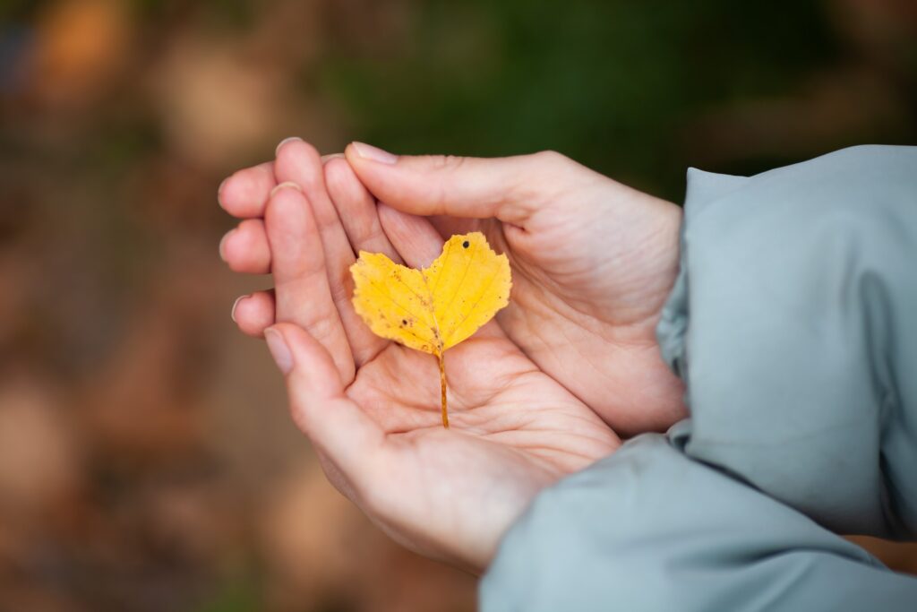 Sydämenmuotoinen syksyn lehti kämmenellä