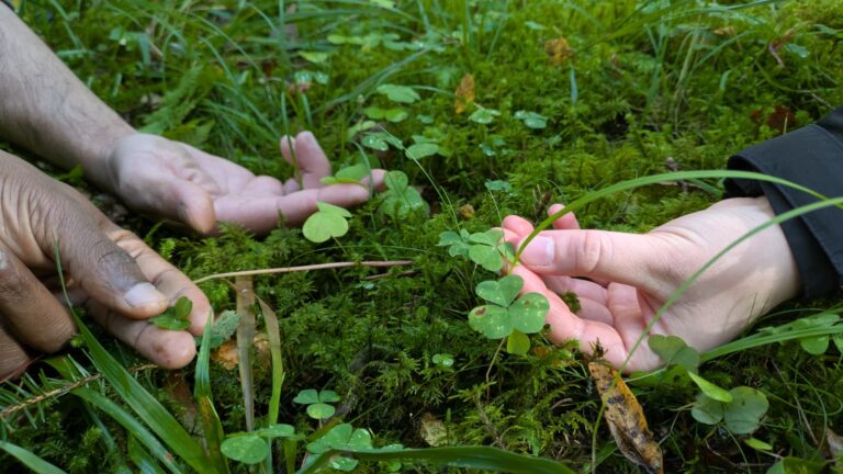 kädet koskettaa ketunleipiä